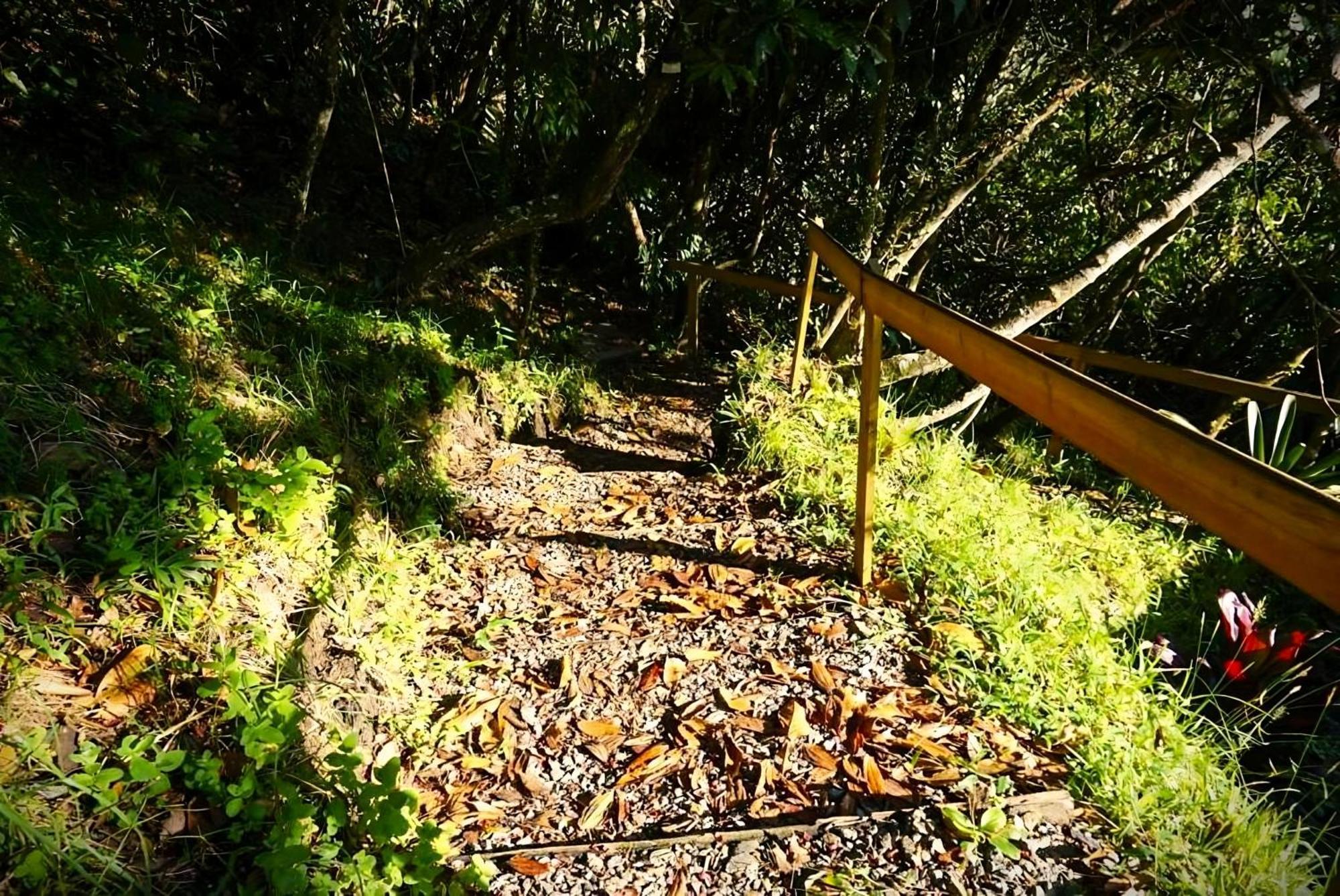 Encanto Minicasitas En Medio De La Naturaleza Santa Elena  Exterior foto