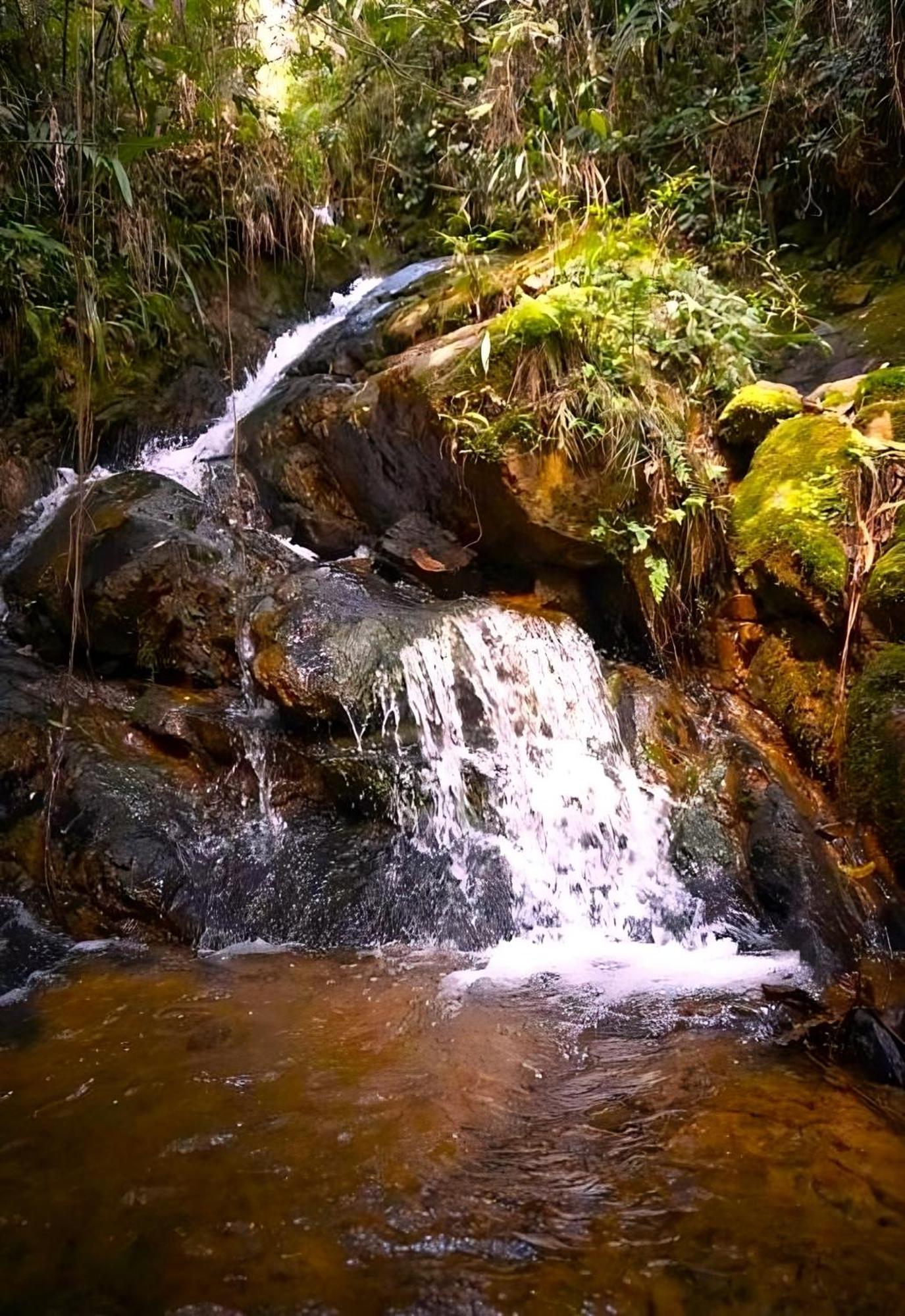 Encanto Minicasitas En Medio De La Naturaleza Santa Elena  Exterior foto