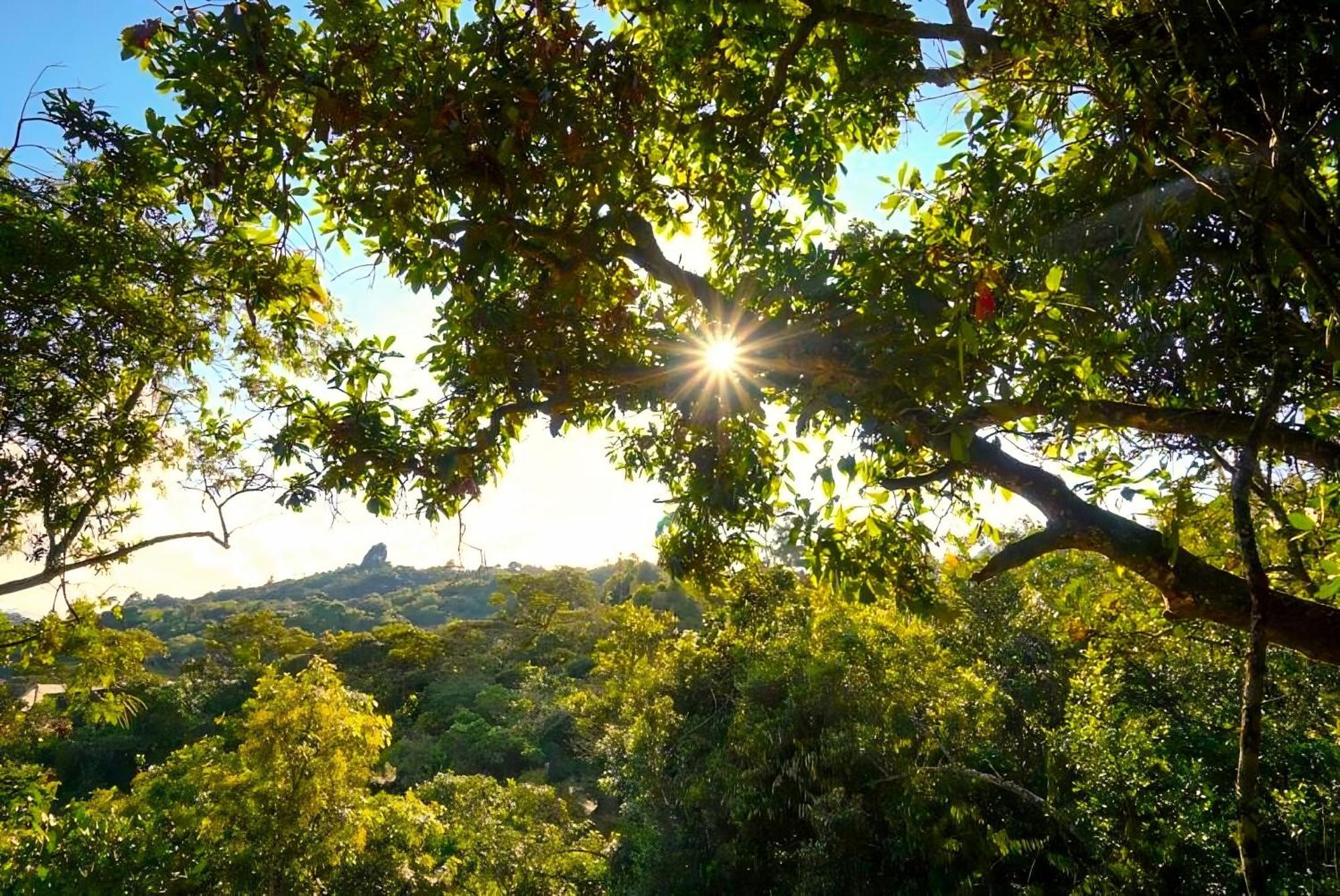 Encanto Minicasitas En Medio De La Naturaleza Santa Elena  Exterior foto